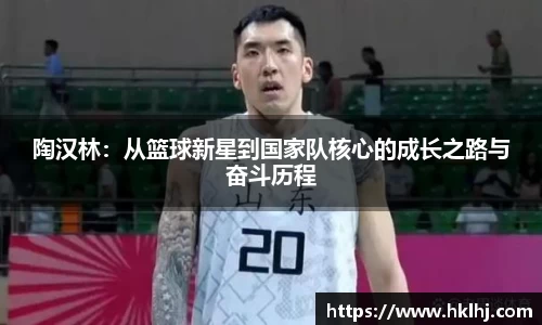 陶汉林：从篮球新星到国家队核心的成长之路与奋斗历程